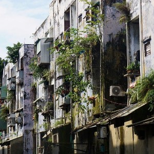 Ảnh minh họa - Ảnh: CTTĐT Đà Nẵng