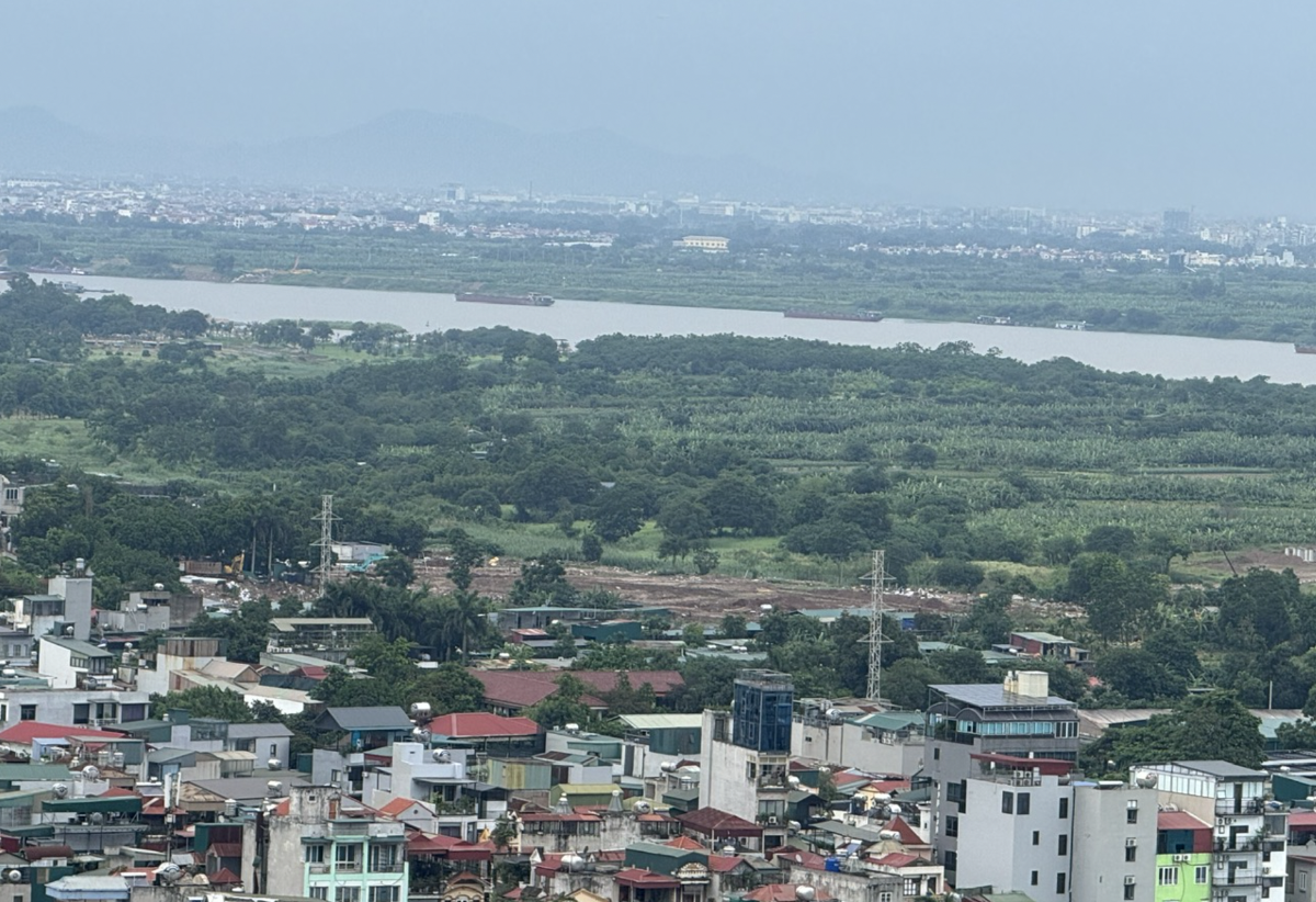 Ảnh minh hoạ - Ảnh: Phan Nam