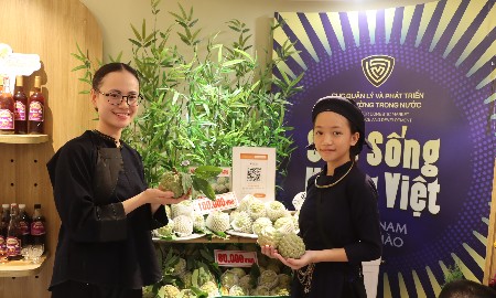 Lạng Sơn Corner: Đưa đặc sản vùng biên đến gần với người tiêu dùng Thủ đô