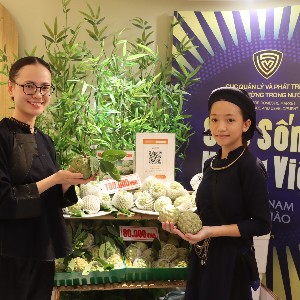 Quả na là điểm nhấn của