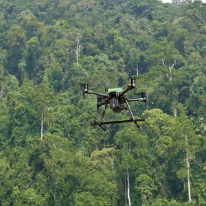 Ảnh minh hoạ: Wildlife Drones.
