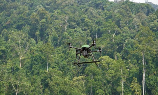 Ảnh minh hoạ: Wildlife Drones.