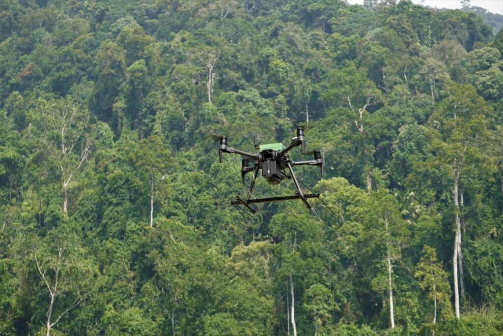 Ảnh minh hoạ: Wildlife Drones.
