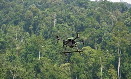 Ảnh minh hoạ: Wildlife Drones.