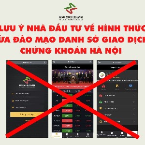 Ảnh minh họa từ HNX.