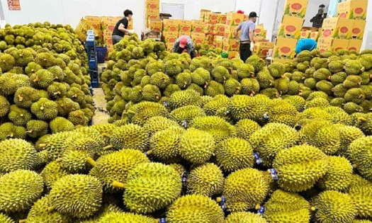 (Photo for illustration: Doan Kien)