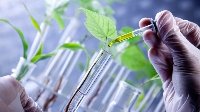Biotechnology development plan in agriculture and environment approved