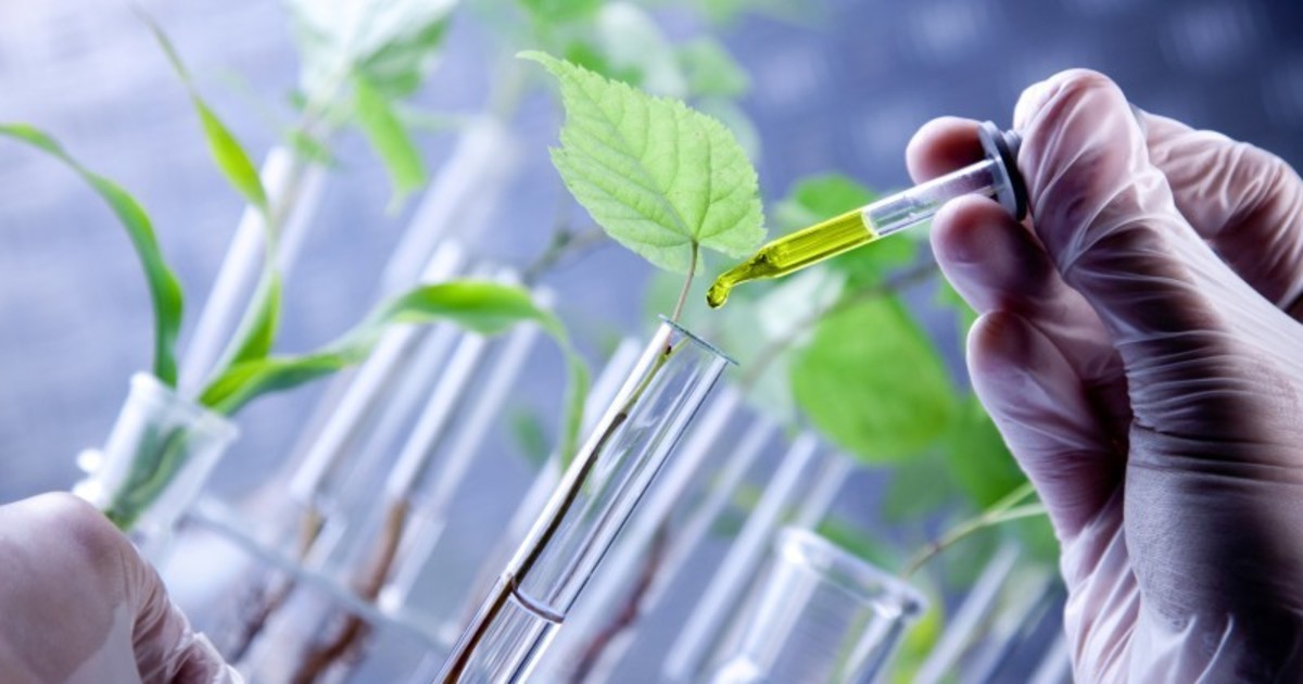 Biotechnology development plan in agriculture and environment approved ...