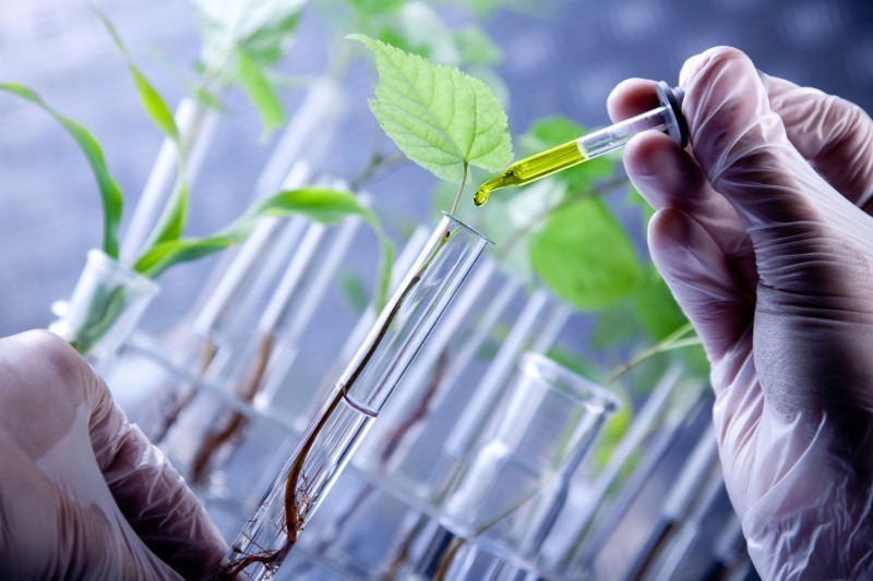 Biotechnology development plan in agriculture and environment approved