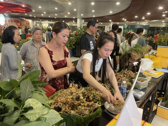 Một trong 80 gian hàng giới thiệu và bán Sâm Ngọc Linh. Ảnh Ngô Anh Văn
