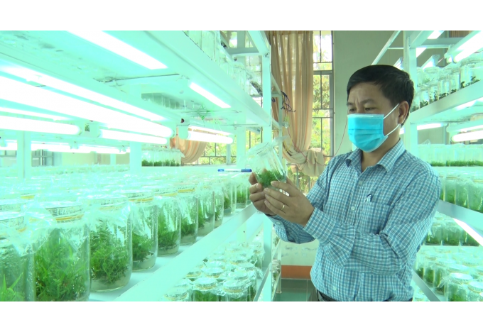 Nghiên cứu, phát triển, ứng dụng công nghệ chiến lược (công nghệ sinh học và y sinh tiên tiến, công nghệ di truyền, công nghệ tế bào, chọn giống chính xác, chọn giống theo hệ gen,...), sản phẩm công nghệ chiến lược (giống cây trồng, vật nuôi,...). Ảnh: Lê Bền