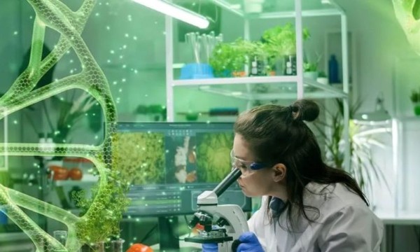 Phát triển công nghiệp sinh học, thay thế tối thiểu 50% sản phẩm nhập khẩu