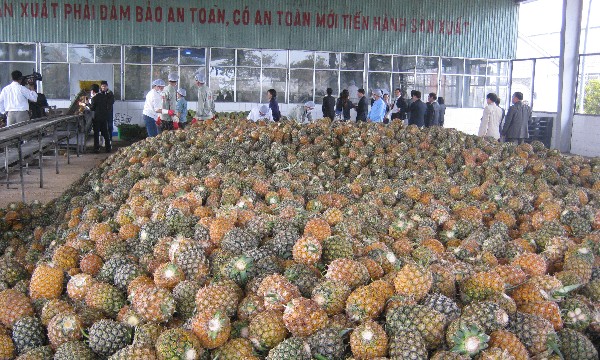 Xuất khẩu nông lâm thủy sản đạt gần 43 tỷ USD, điểm sáng từ rau quả và thủy sản