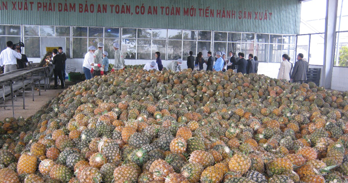 Xuất khẩu nông lâm thủy sản đạt gần 43 tỷ USD, rau quả và thủy sản dẫn đầu