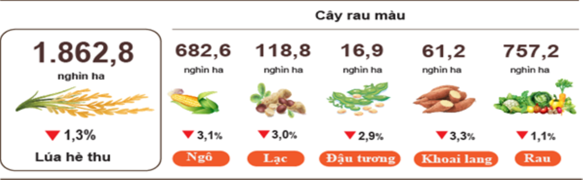 Diện tích một số loại cây hàng năm, Nguồn: Cục Thống kê.