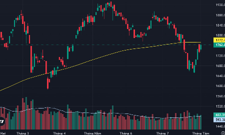 VN-Index và đường MA200 ngày.