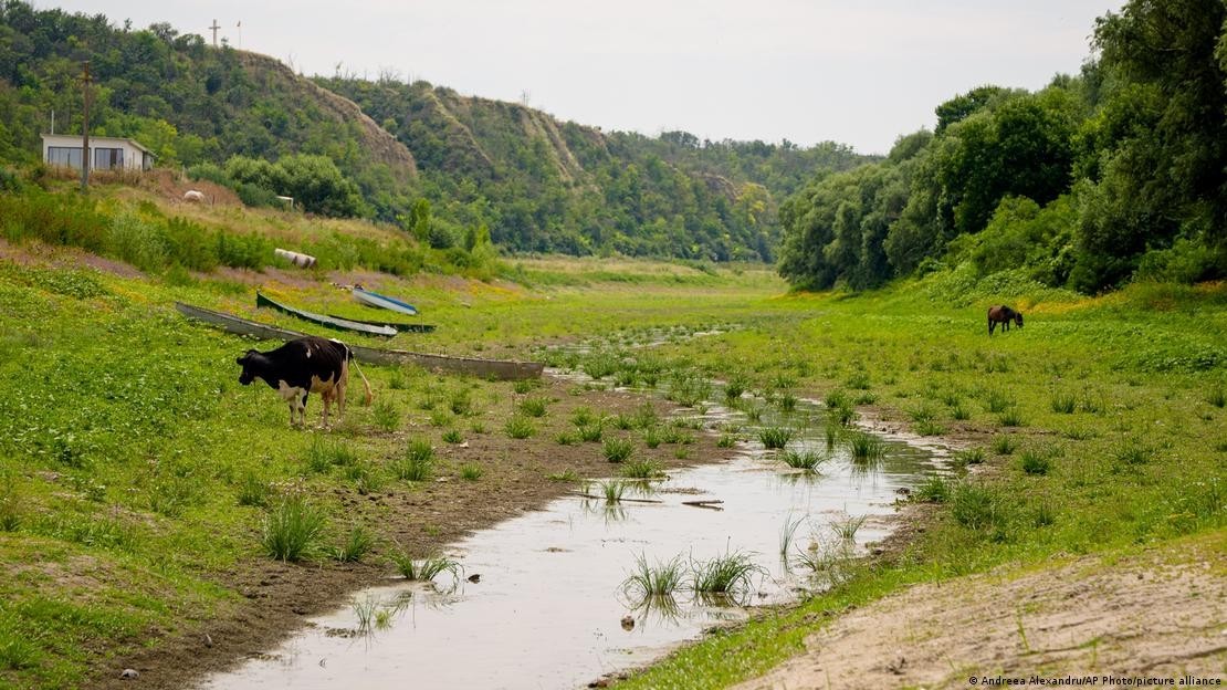 Nhiều đoạn sông Danube và các phụ lưu chỉ còn dòng chảy rất nhỏ do nắng nóng kéo dài. Ảnh: AP