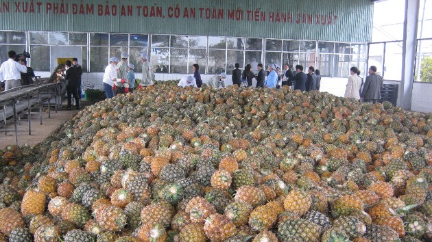 Fruits and seafood shine as Vietnam’s agro-exports hit $43 bln