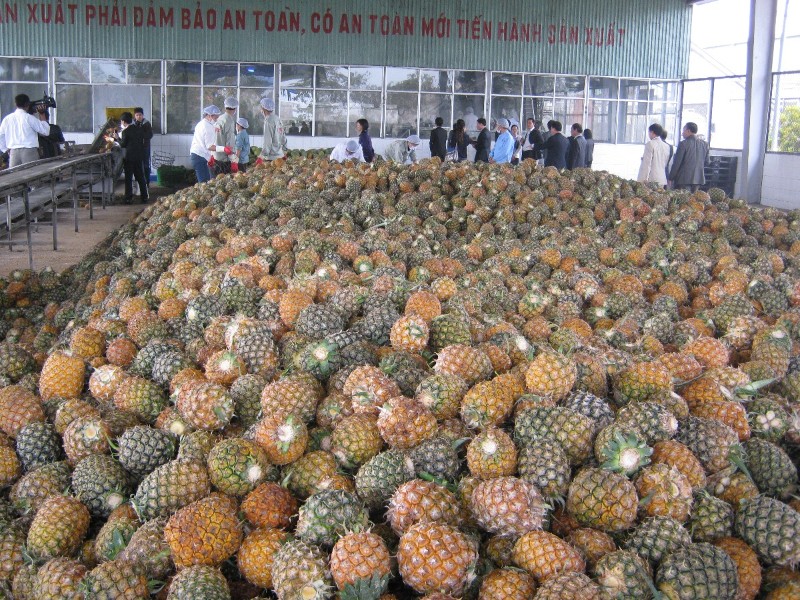Fruits and seafood shine as Vietnam’s agro-exports hit $43 bln