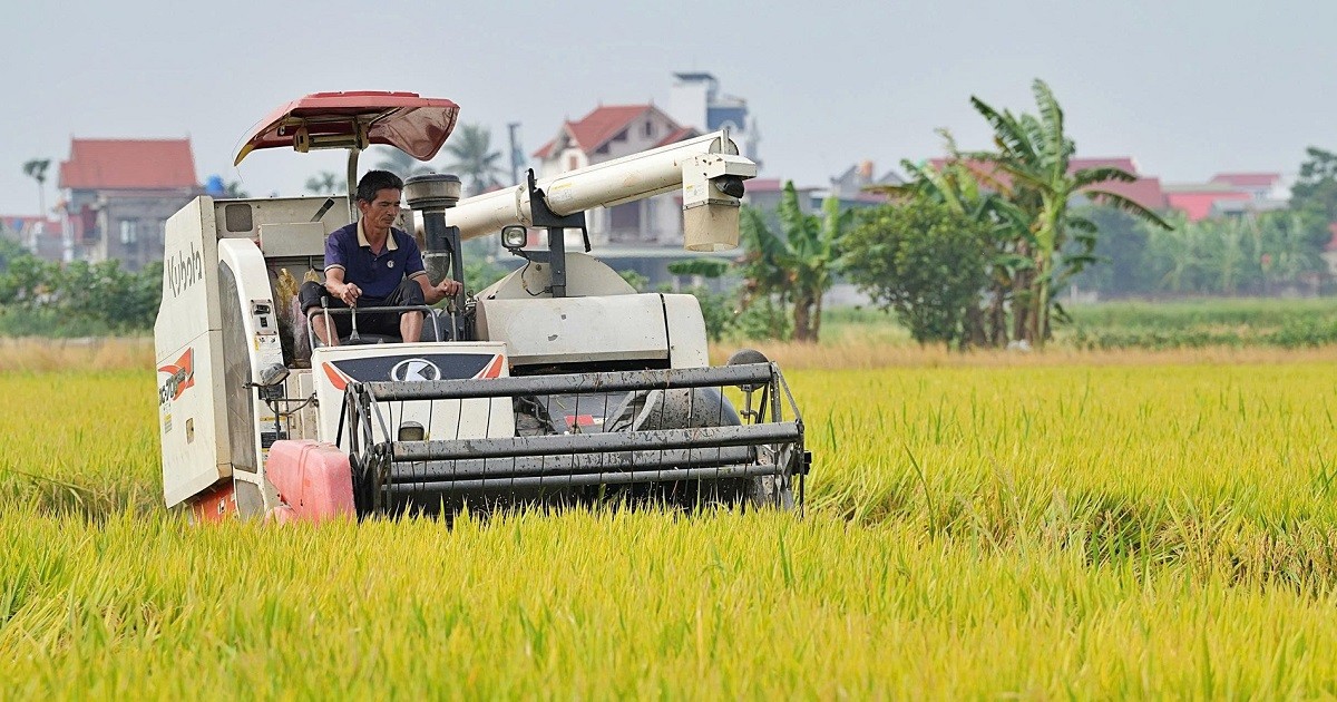 VCCI đề xuất xóa rào cản, minh bạch cơ chế chỉ định thương nhân xuất khẩu gạo