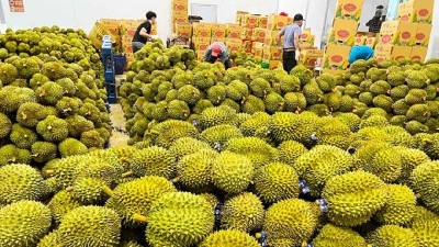 Taiwan (China) opens market to 178 Vietnamese plant products