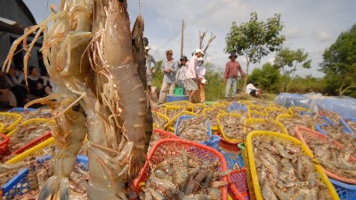 Vietnam's seafood exports top $6.7bln in 7M