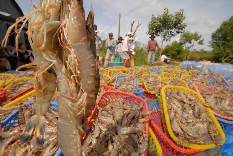 Vietnam's seafood exports top $6.7bln in 7M