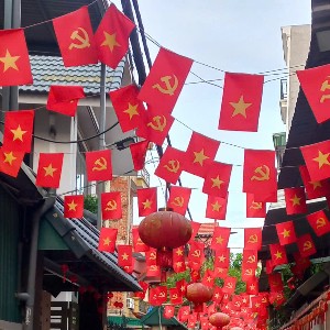 Một khu dân cư treo cờ đón tết. Ảnh: Thu Hằng.