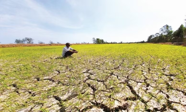 Cảnh báo El Nino đang tiếp tục mạnh lên, kéo theo các hiện tượng thời tiết cực đoan