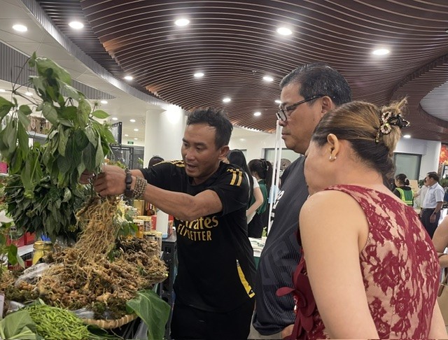 Những củ Sâm Ngọc Linh nhiều năm tuổi có giá trị cao được trưng bày, giới thiệu bán cho khách hàng tại Công viên APEC. Ảnh Ngô Anh Văn