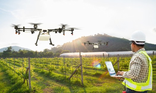 (Illustrative image from VnEconomy)