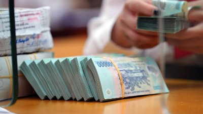 Combined capital mobilization of HCMC and Dong Nai tops $232 mln in H1