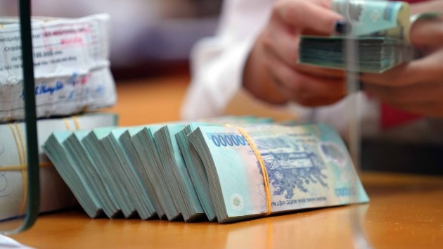 Combined capital mobilization of HCMC and Dong Nai tops $232 mln in H1