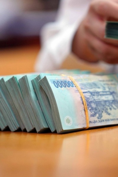 Combined capital mobilization of HCMC and Dong Nai tops $232 mln in H1