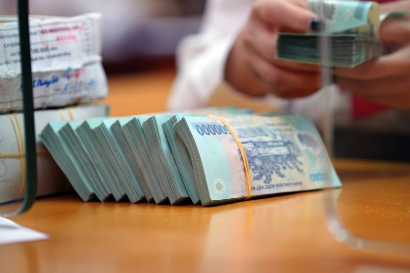 Combined capital mobilization of HCMC and Dong Nai tops $232 mln in H1