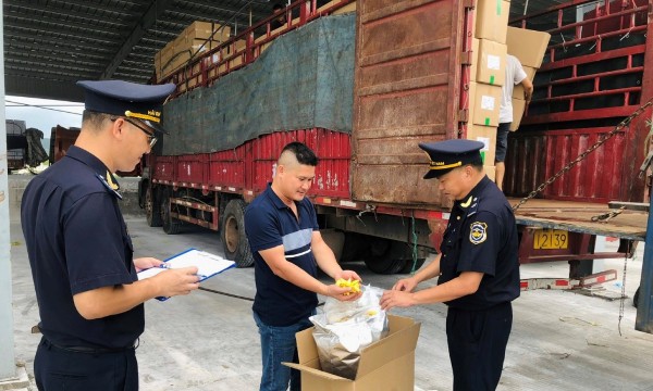 Trong tháng 7, thu nộp ngân sách từ hàng hóa vi phạm tăng gần 50% so với cùng kỳ