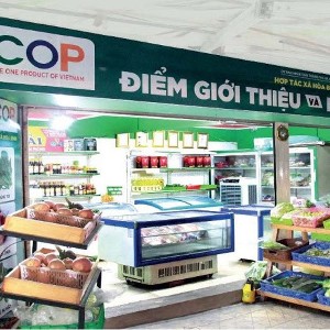 Chương trình phát triển sản phẩm OCOP gắn với điểm đến du lịch nông thôn nhằm mục tiêu thúc đẩy kết nối giữa các chủ thể OCOP, hợp tác xã và doanh nghiệp nông nghiệp với các đơn vị du lịch, lữ hành. Ảnh: M.Đức.
