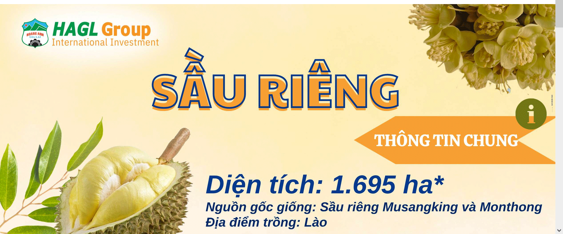 IPO 18,8 triệu cổ phiếu HGI, dự kiến huy động 1.139 tỷ đồng