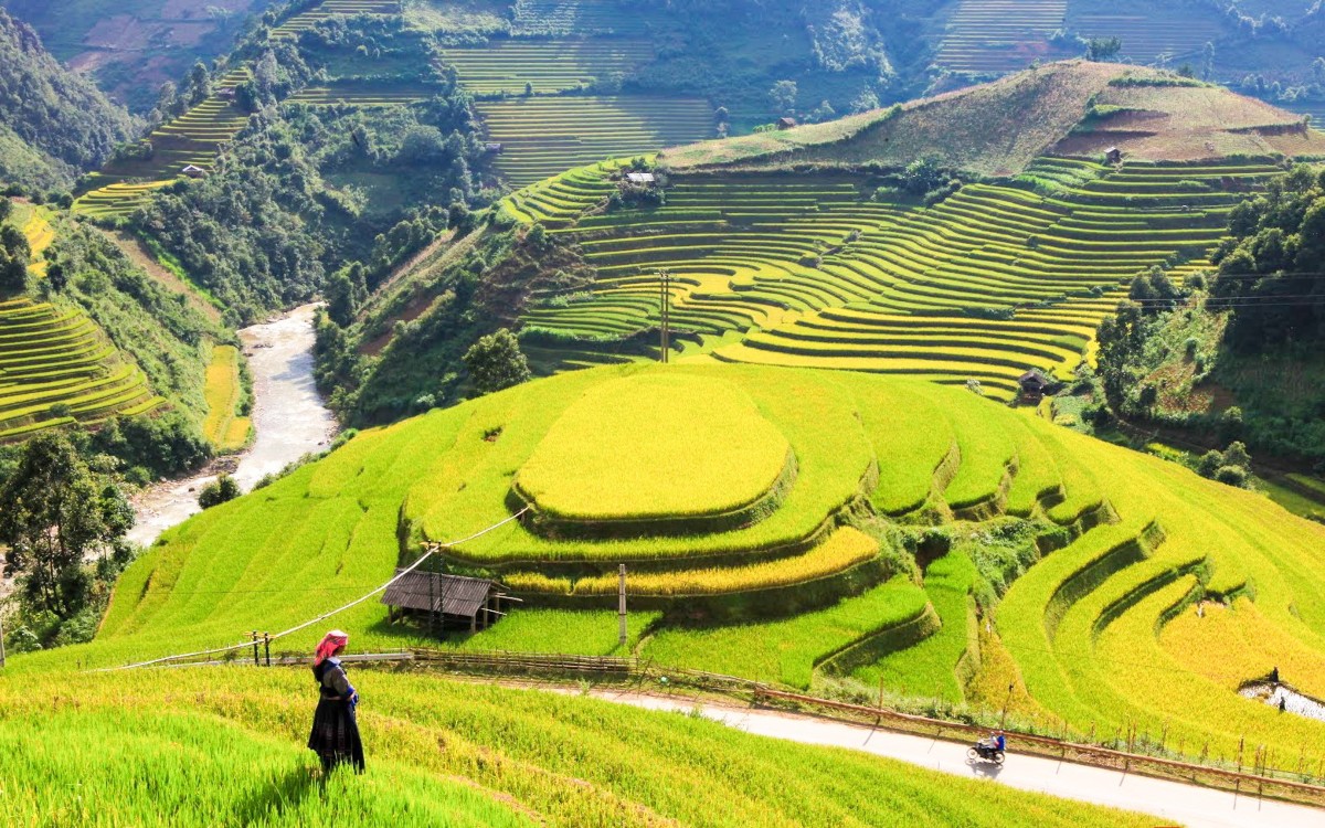 Tháng 9 - 10 hằng năm, núi rừng Lào Cai lại bừng sáng trong sắc vàng óng ả của mùa lúa chín. Ảnh: Bộ Văn hóa, Thể thao và Du lịch