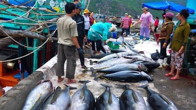 New regulations for streamlining seafood exports to US and accelerating digital fisheries management