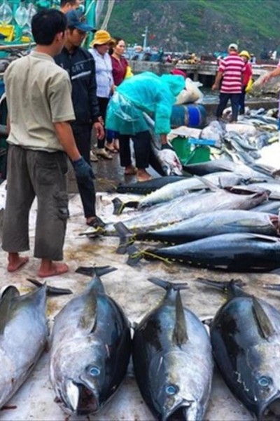 New regulations for streamlining seafood exports to US and accelerating digital fisheries management