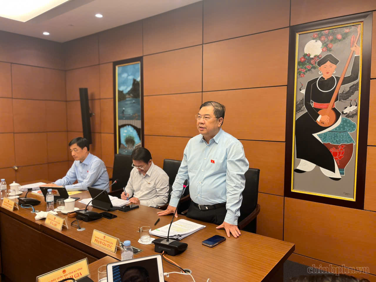Phó Thủ tướng Thường trực Phạm Gia Túc dự và phát biểu tại phiên thảo luận tổ 9 (TP. Cần Thơ, tỉnh Lai Châu, tỉnh Hà Tĩnh) - Ảnh: VGP/Phương Nguyên