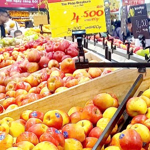 Thực phẩm sẽ được quản lý từ khâu sản xuất đến tay người tiêu dùng. Ảnh: Nhật Dương.