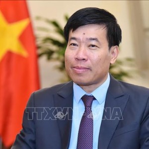 Ủy viên Trung ương Đảng, Phó Bí thư Thường trực Đảng ủy, Thứ trưởng Bộ Ngoại giao Nguyễn Mạnh Cường. Ảnh: TTXVN