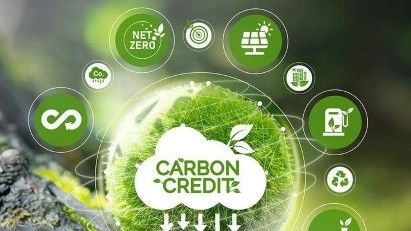 Enabling market entry for carbon credits