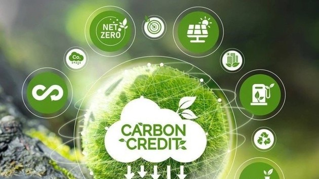 Enabling market entry for carbon credits