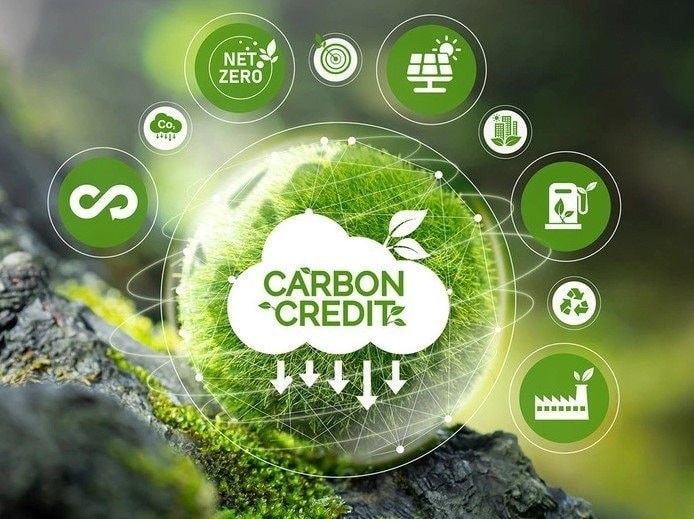 Enabling market entry for carbon credits
