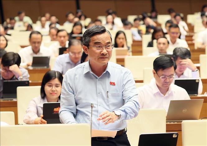 Đại biểu Quốc hội thành phố Đà Nẵng Nguyễn Phi Hùng phát biểu. Ảnh: TTXVN.