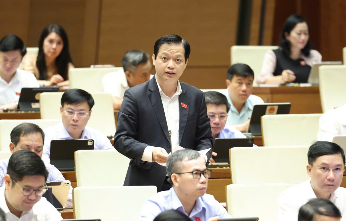 Đại biểu Nguyễn Hải Nam, đoàn ĐBQH Huế.