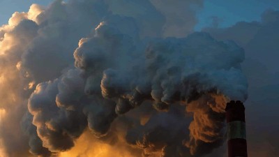 Interest in carbon markets is rising